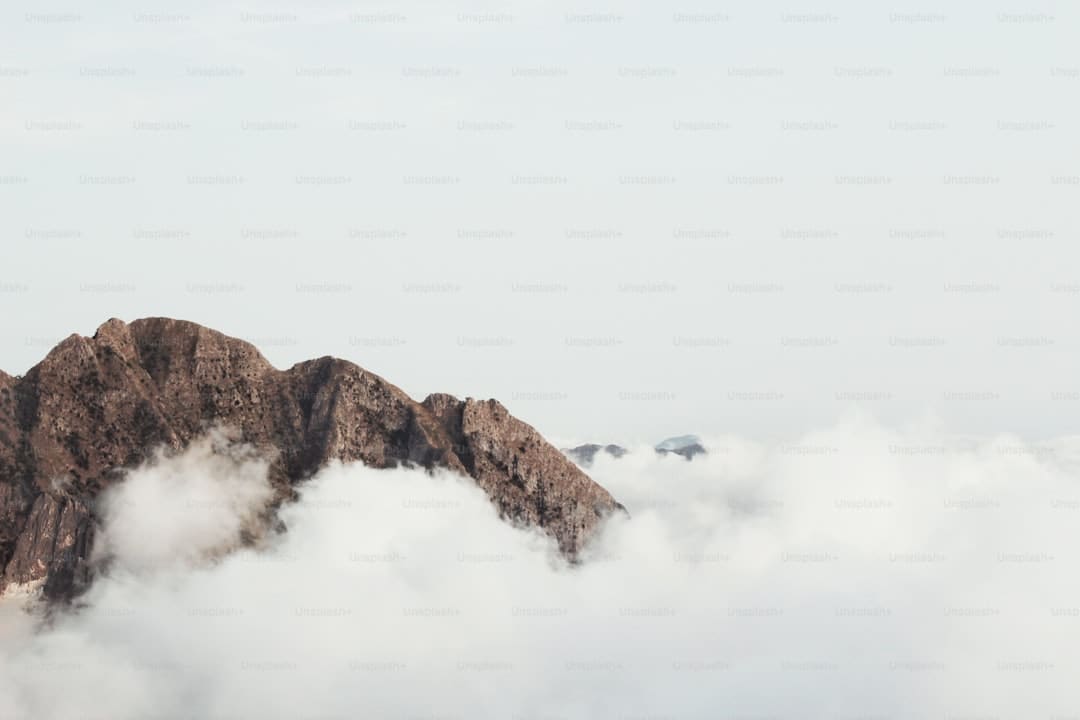 花蛤属于海鲜还是河鲜